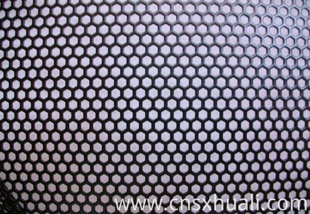 Dust Screen